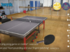Table Tennis Touch – unul dintre cele mai bune jocuri Android ale anului 2018 Table Tennis Touch